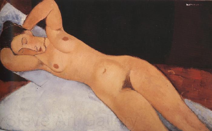 Amedeo Modigliani Nude (mk39)